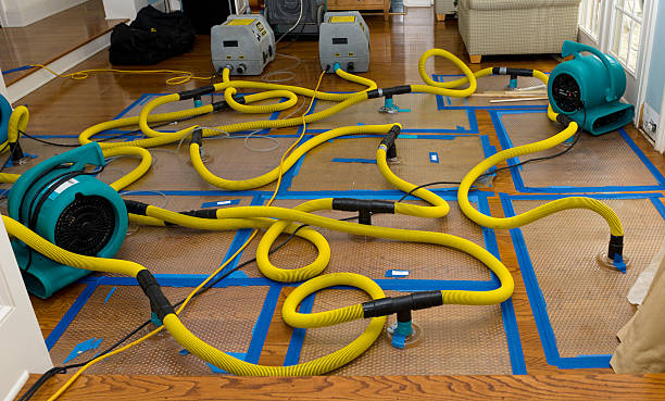 Professional Structural Drying And Dehumidification technician working in Kingston, MA
